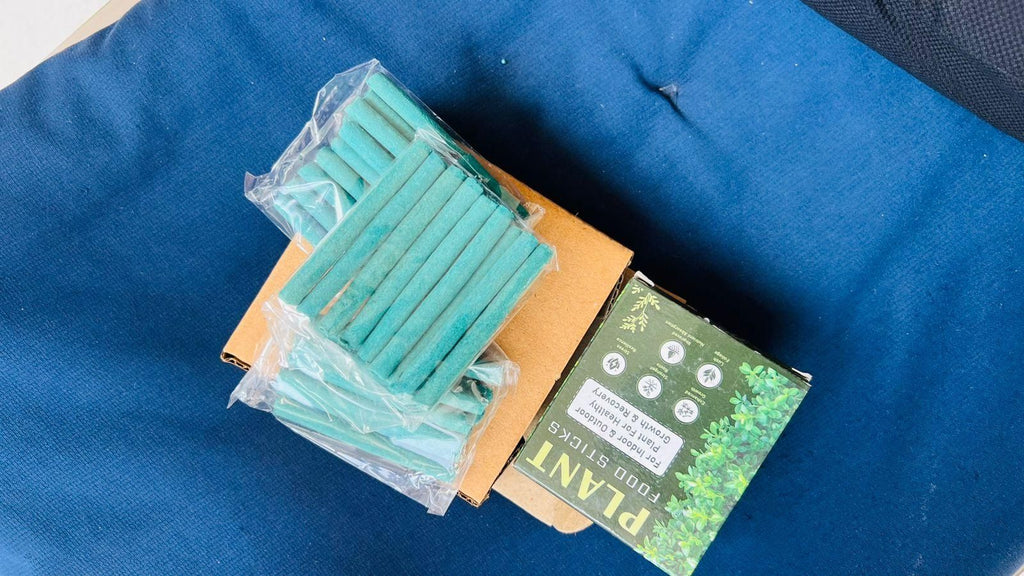 Plant Food Sticks Pack of 2