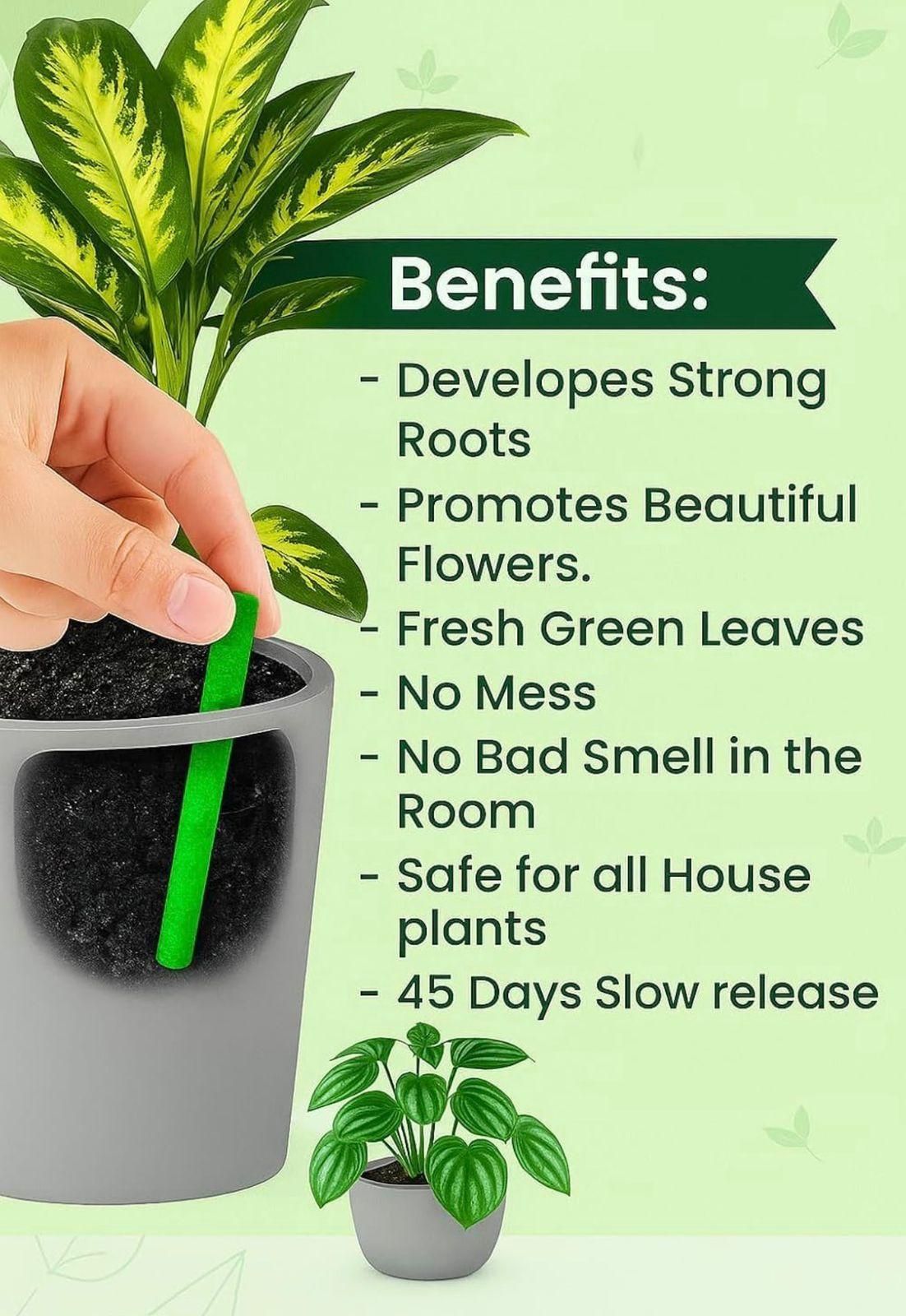 Plant Food Sticks Pack of 2