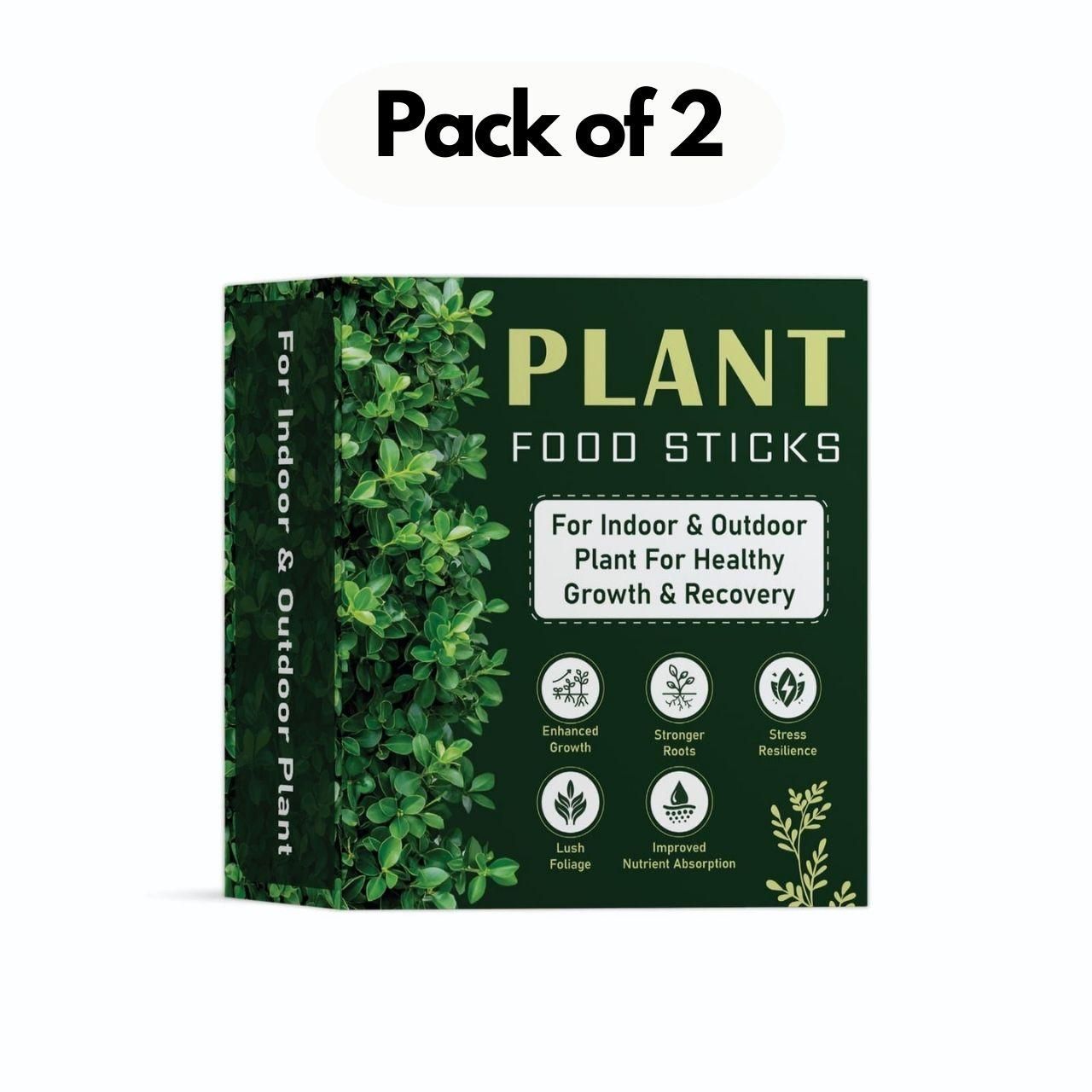 Plant Food Sticks Pack of 2